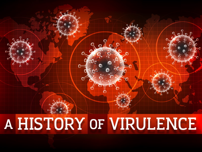 Coronavirus story: nocturnal mammals, camels and the common cold